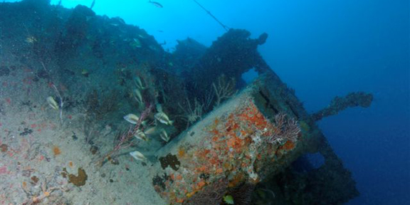 Dive With South Florida Diving Headquarters